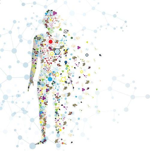 What is Biopsychosocial Health?