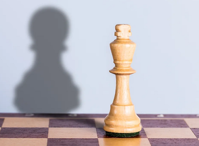 Metacognitive Life Strategies