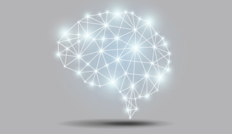 How Cognitive Biases Shape Perceptions